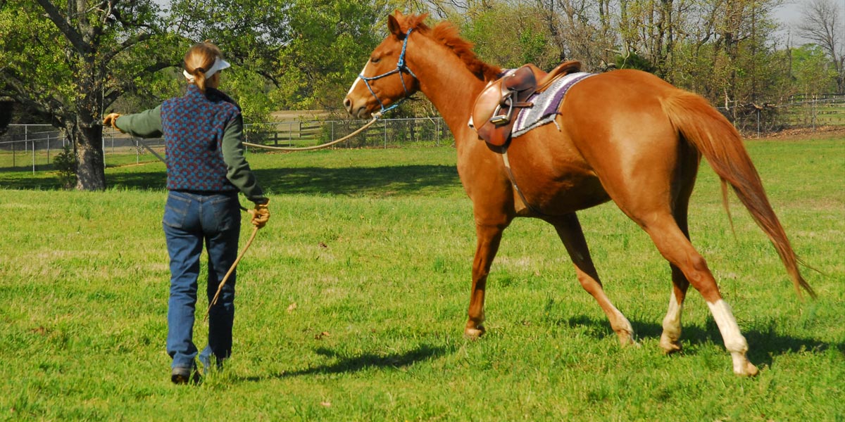 melanieleadinghorse Melanie Smith Taylor